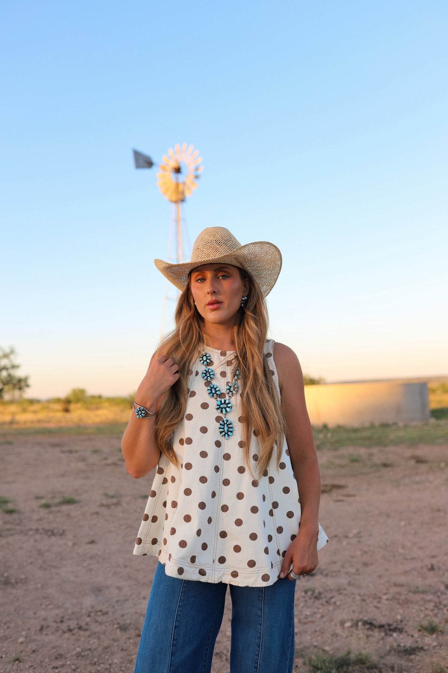 The Posie Polka Dot Denim Top