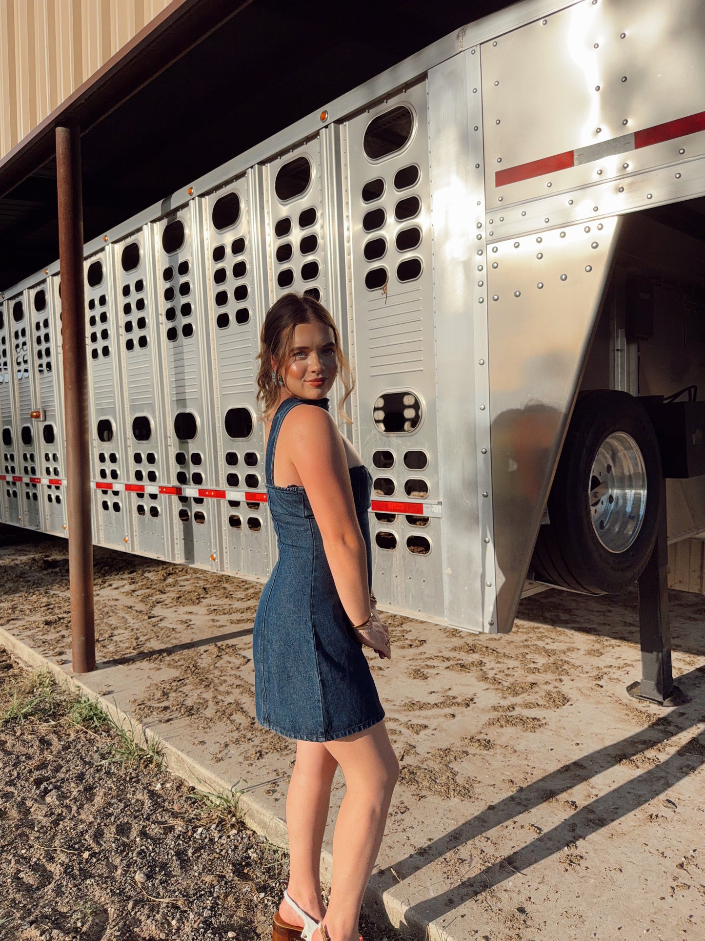 The Davie Denim Dress
