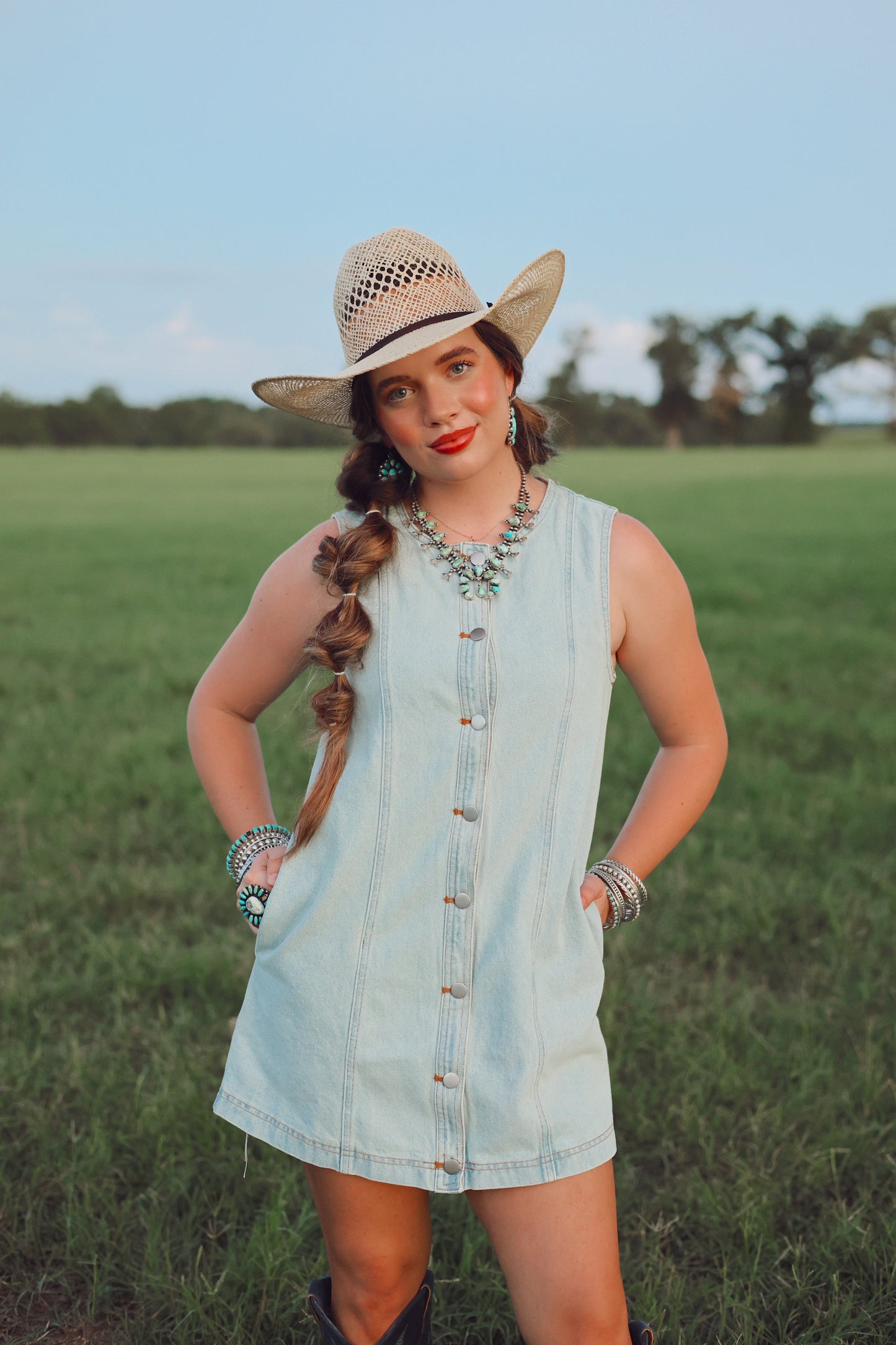 The Dobbs Denim Dress in Light Wash